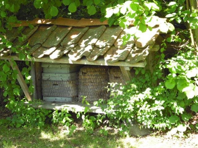 Landhaus Kiesow Suderburg Exterior foto